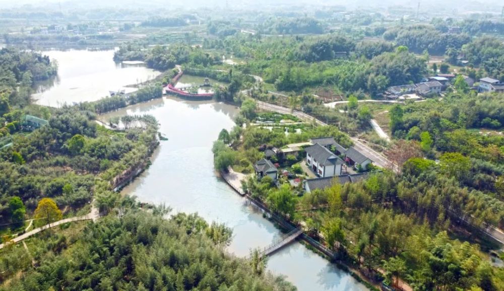 三峡竹博园,将梁平竹韵写进春天里…_腾讯新闻