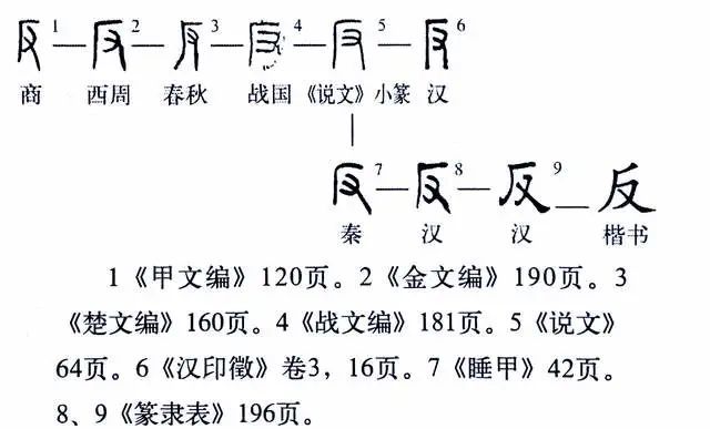 说文解字552课细说反字成语易如反掌的反字何义
