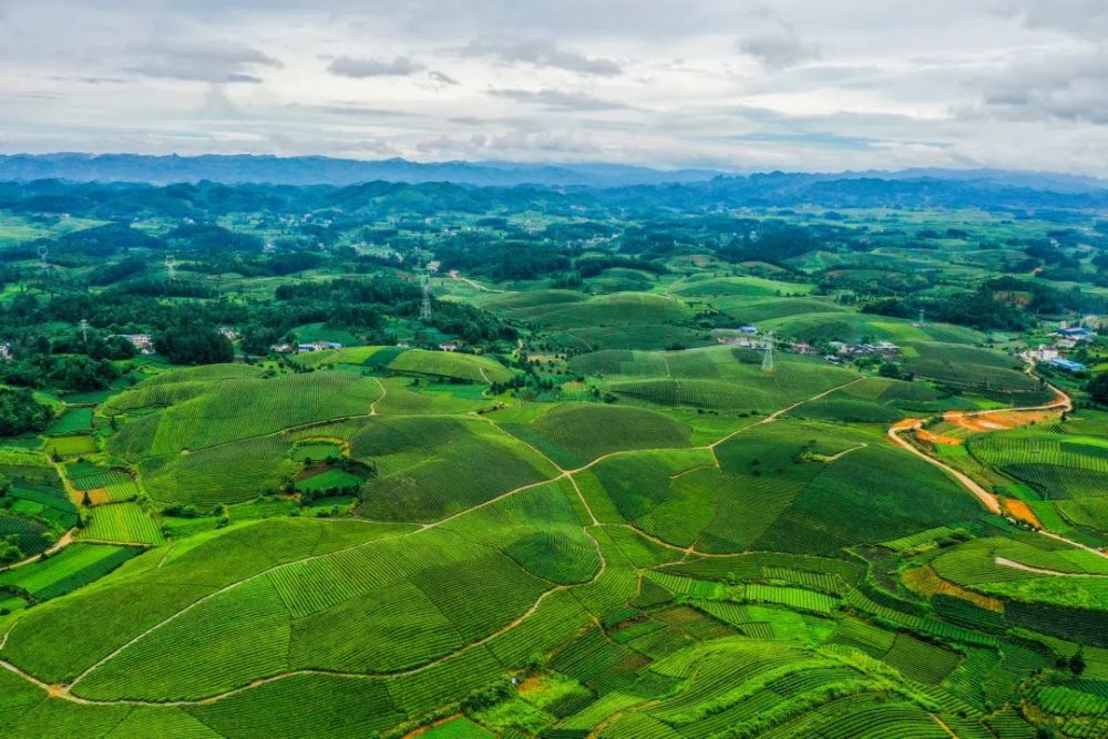 只此青绿时下贵州藏着最清新的春天