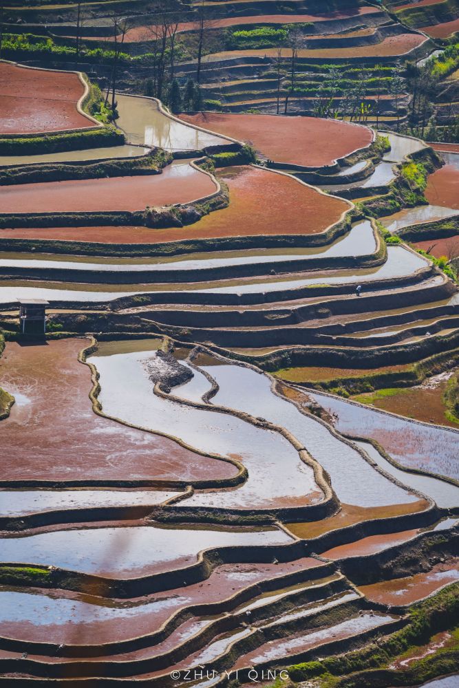 云南红河有一处绝美梯田被列为世界遗产五彩斑斓景象壮观