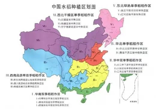 优质粳稻品种,高产杂交稻,多穗型杂交稻等水稻品种,覆盖区域包含了