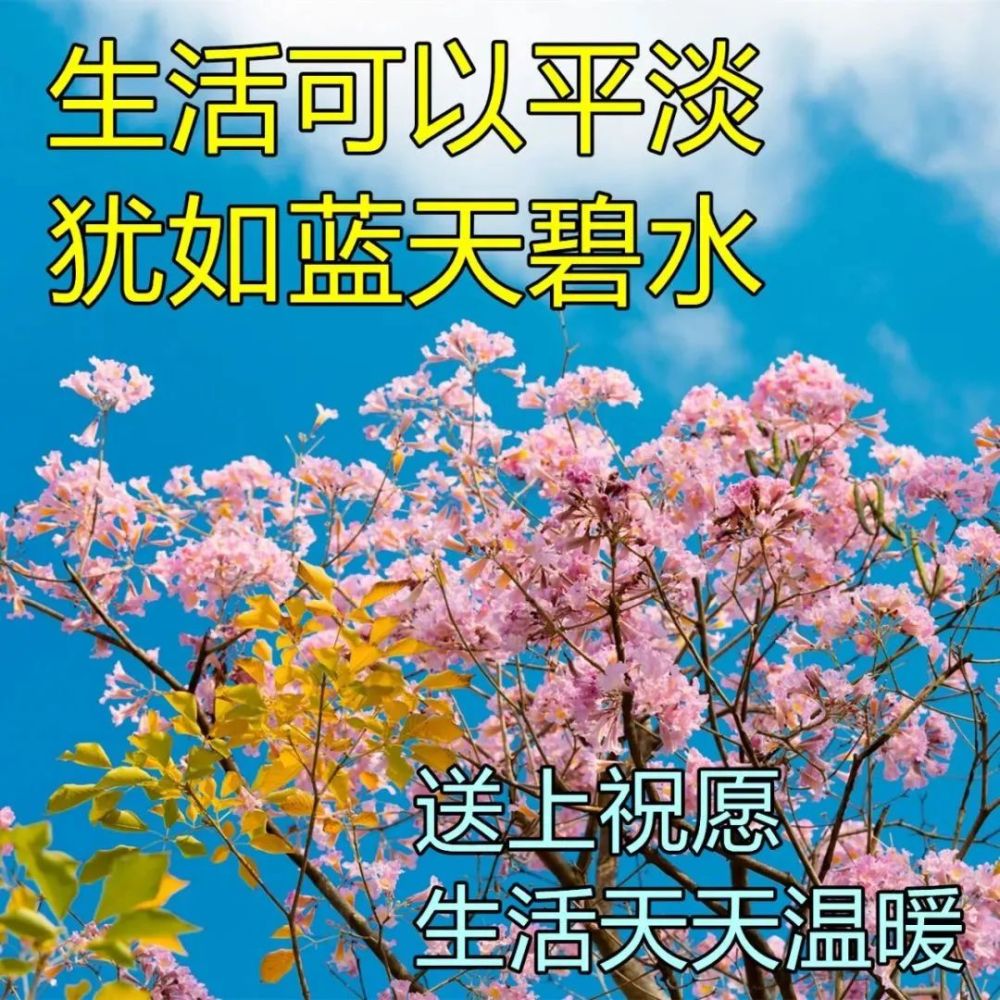 8張最美初夏風景早上好圖片帶祝福語新的一天早安問候祝福語大全唯美