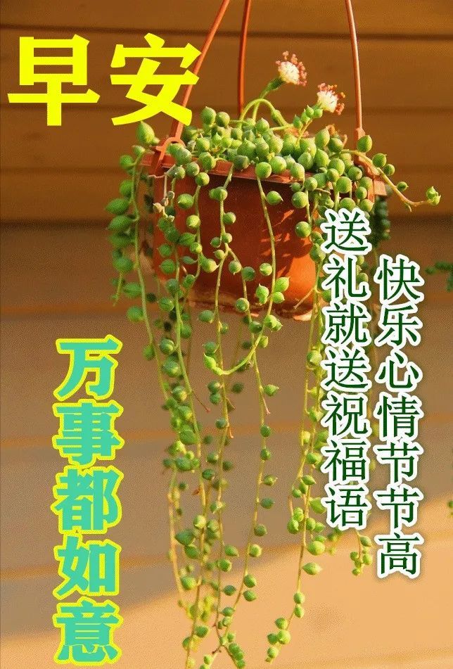 微信朋友圈非常美丽的早安问候动态唯美图片清晨最暖心的祝福语句