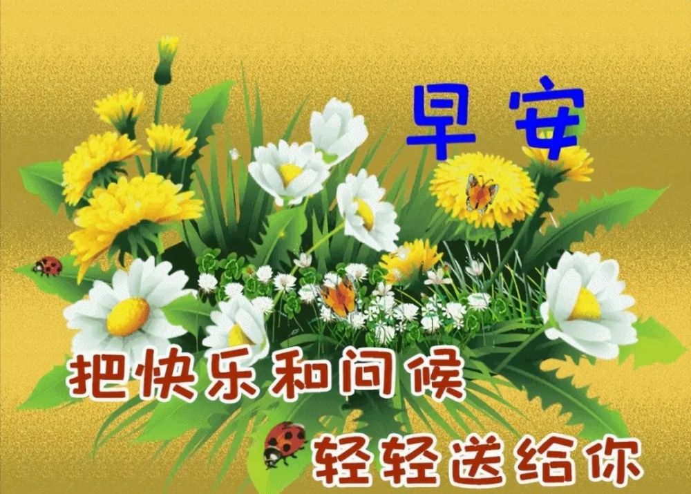 微信朋友圈非常美丽的早安问候动态唯美图片清晨最暖心的祝福语句