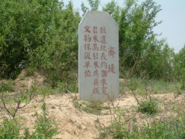 李焕俭:我为提督写墓志|李焕俭|梅东益|沧州|怀远县