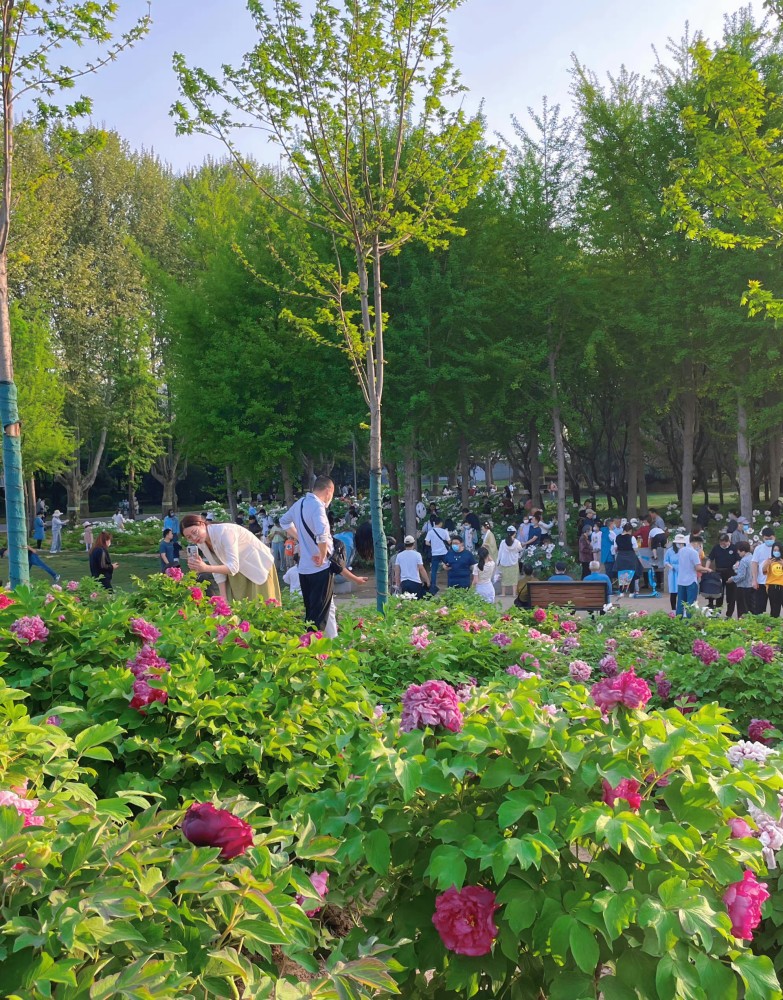 郑州植物园疫情图片
