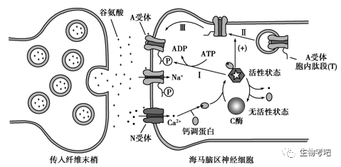 2022年高考生物試卷(信息密卷)