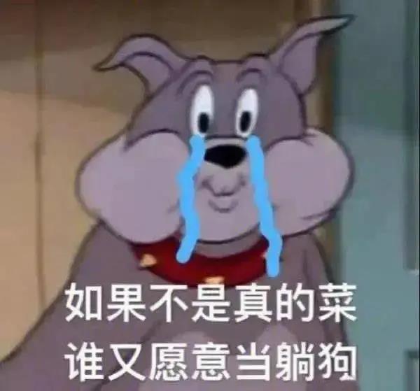 表情包:菜狗表情包