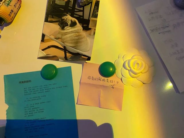 摄影师意外溺亡后女模特被指责杀人犯好友因网暴自杀