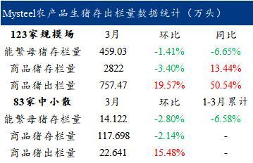 疯狂的行情“赌徒” 飙升的仔猪价格