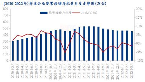 疯狂的行情“赌徒” 飙升的仔猪价格