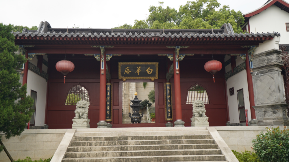 "跟着山志游普陀山"004期|跟随春的脚步,沿着妙庄古道收获一路美好