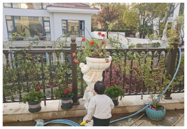 拳王邹市明上海第2套上亿豪宅曝光,三层结构配独立花园