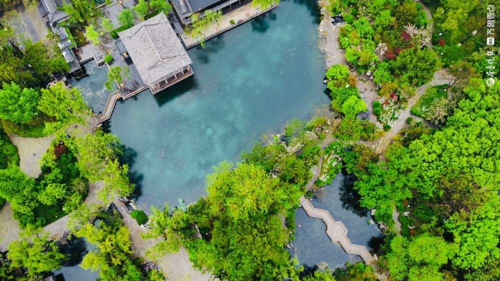 好景山东航拍济南趵突泉泉池如碧蓝美玉雨中景色更迷人