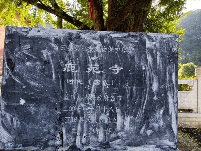 谁能想到,诗人王维墓藏在西安一个村子里,很多人擦肩而过