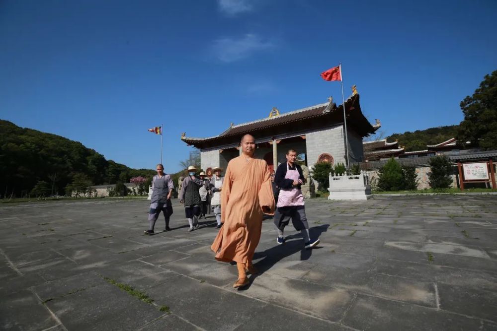 正是採茶好時節,雲居山真如禪寺全體僧眾出普坡_騰訊新聞