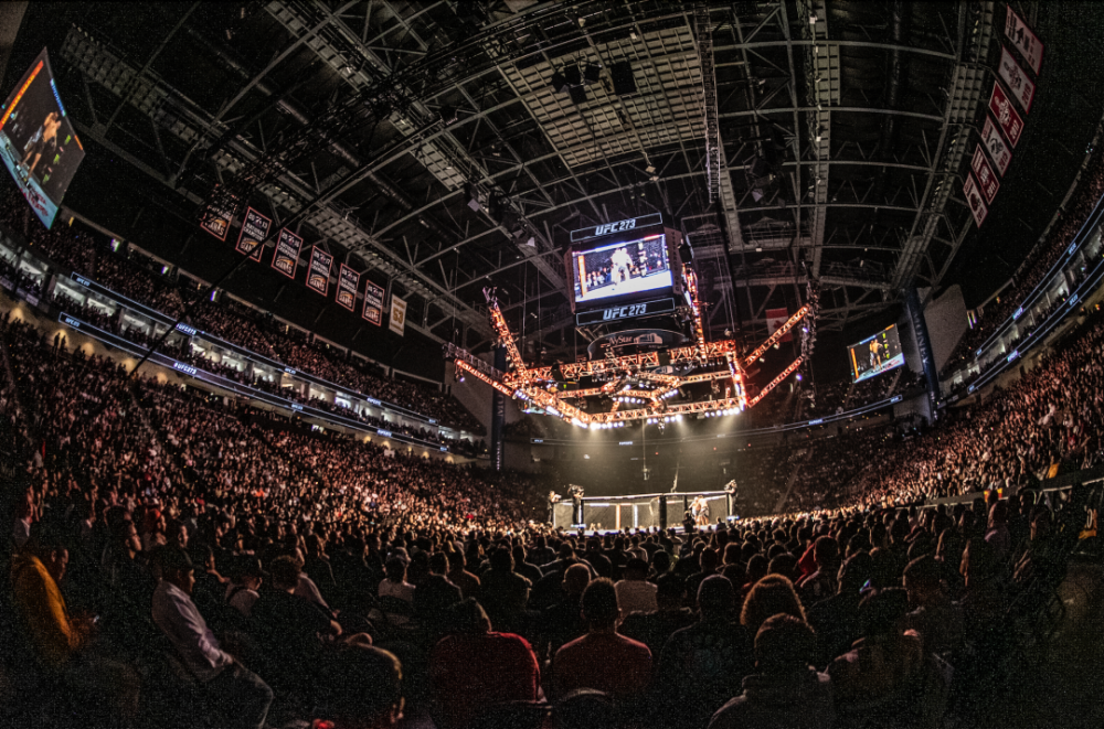 真实的世界ufc273后记