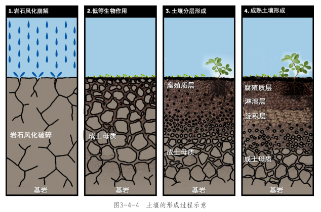 土壤经典用图30张!