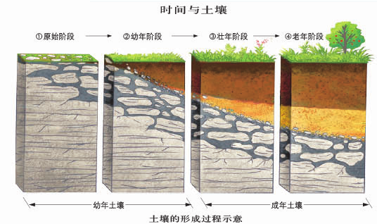 土壤经典用图30张