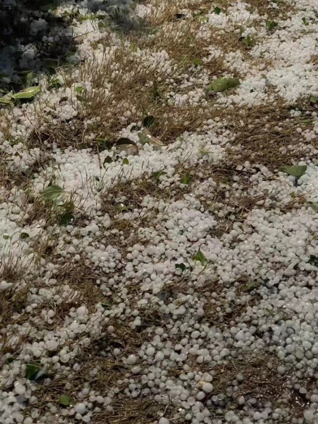 00起,新乡市出现雷阵雨,阵雨,并伴有短时强降水,雷暴大风和冰雹天气