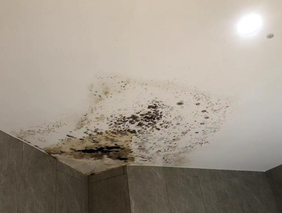 闹心喜提新房两个月400多户业主家中漏水