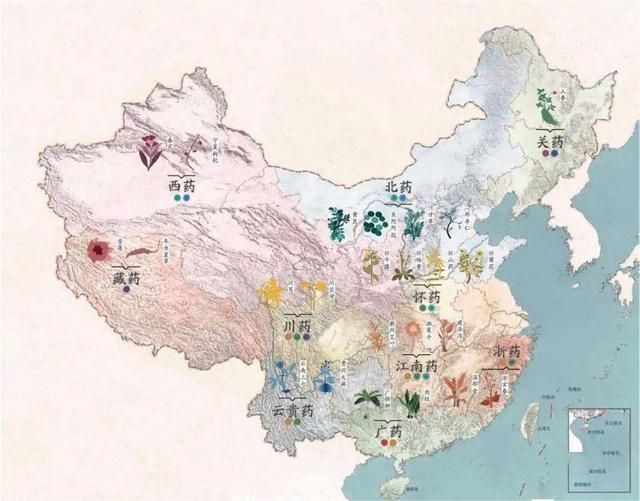 中药之美——十大道地药材