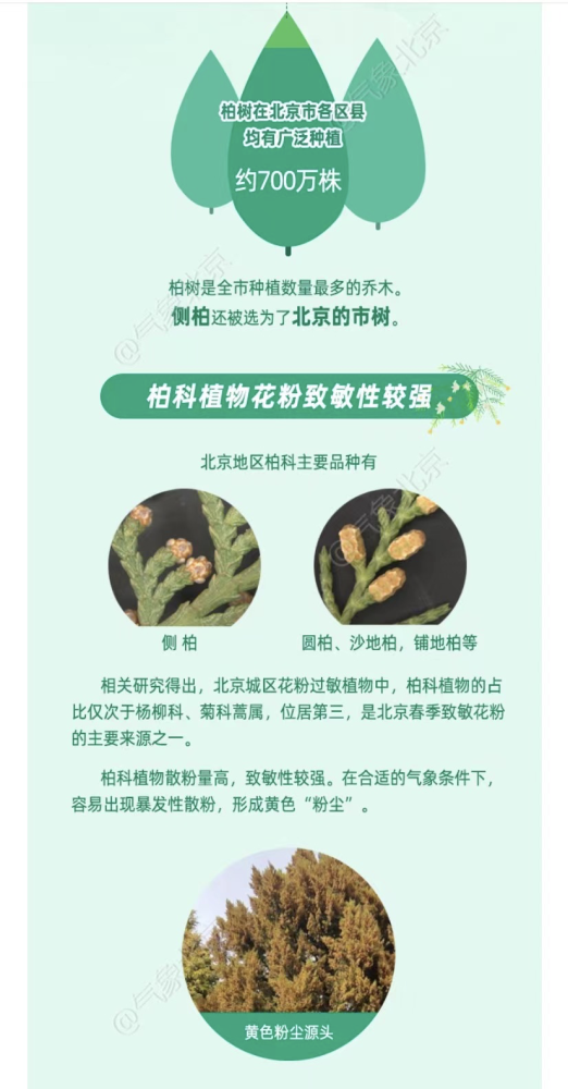 眼睛痒揉眼睛 过敏性结膜炎的选药攻略来啦 天天看点