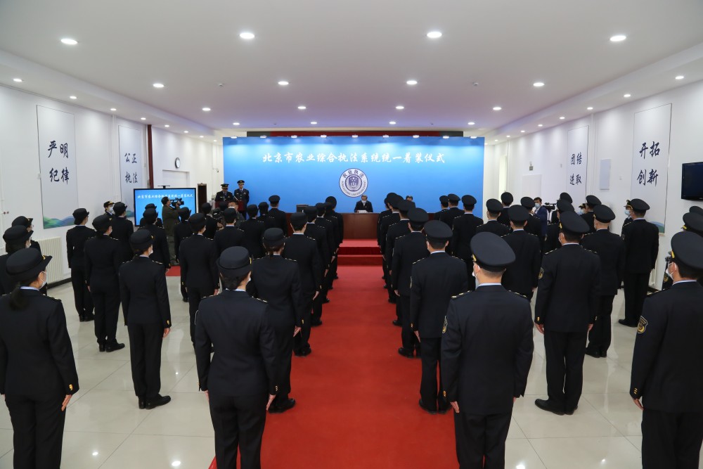 北京车展延期这些新车依然值得留意杨洋作文还是乘风作文好2023已更新(知乎/今日)杨洋作文还是乘风作文好