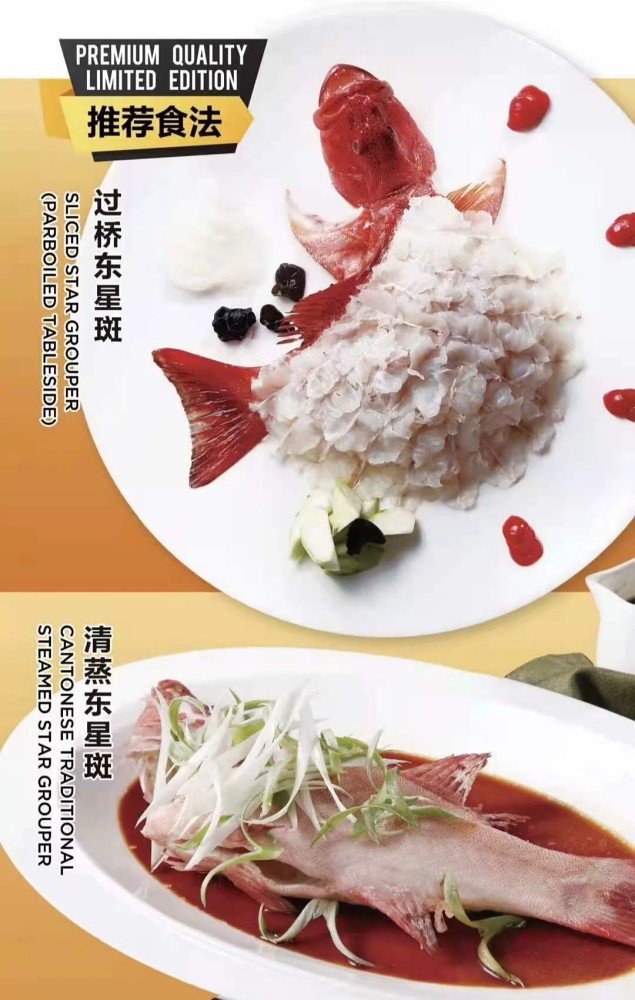 北京万龙洲海鲜，是一家海鲜餐厅多款精美菜式赏析杨洋语文知乎