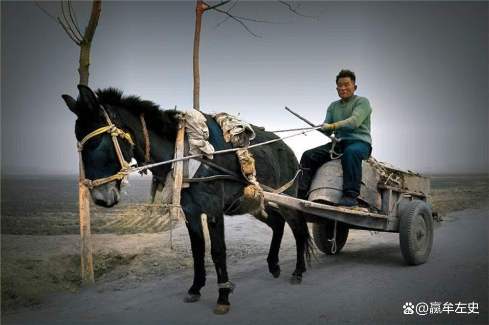 80年代的郓城,一辆行驶在乡村路上的骡车.