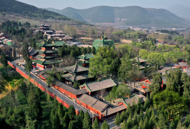 这是登封"天地之中"历史建筑群中嵩阳书院内的"将军柏"(4月7日摄,无人