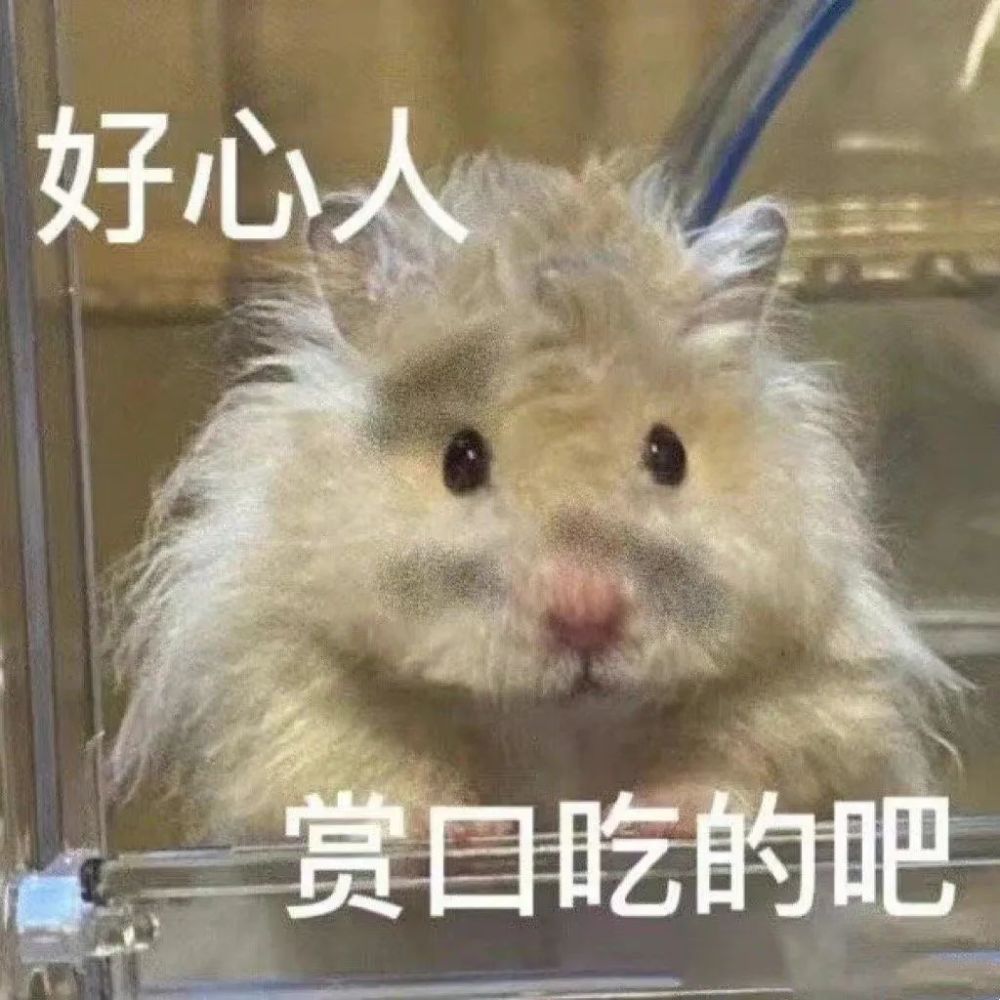 每天更新6个表情包哦~关注公众号吃瓜一哥