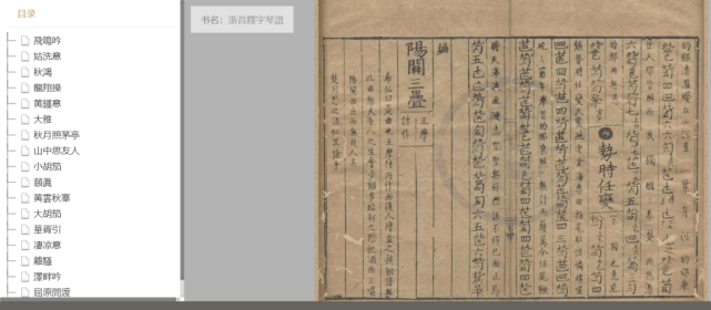 倩谁人,刻成《浙音释字琴谱》