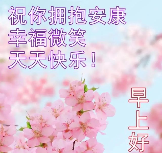 2022鲜花早上好最新图片无水印 非常时期早安问候祝福图片带字温馨