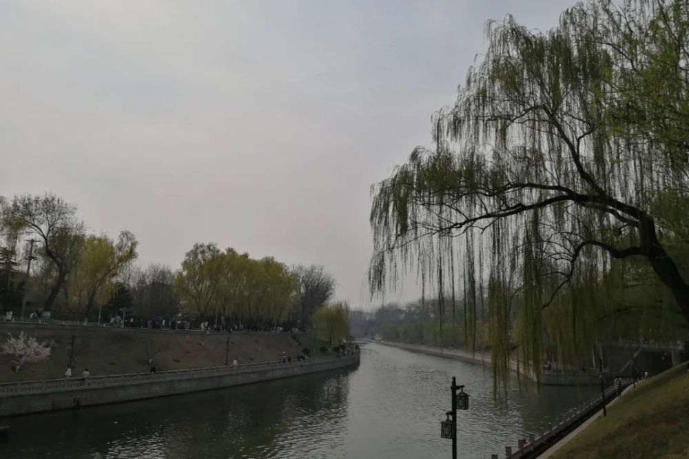 李慶芬玉淵潭公園