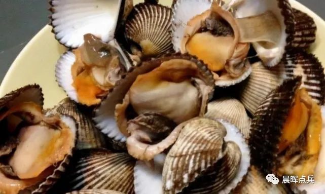 小小毛蚶竟是甲肝发病的真正元凶