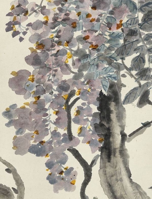 故宫花信紫藤藤花无次第万朵一时开