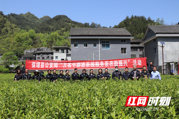 保靖县公安局开展万名干部进茶园服务茶农助振兴活动
