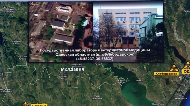 乌前安全官员爆料美主导生物实验室：不能只听美国官方回复小学英语知识点