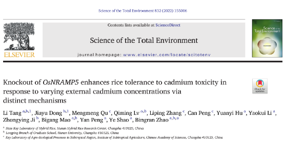 湖南杂交水稻研究中心赵炳然团队揭示敲除osnramp5对镉胁迫的响应机制