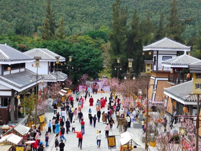 廣東冼夫人與非遺文化社科普及基地負責人,教授姚國軍表示,除了潘茂名