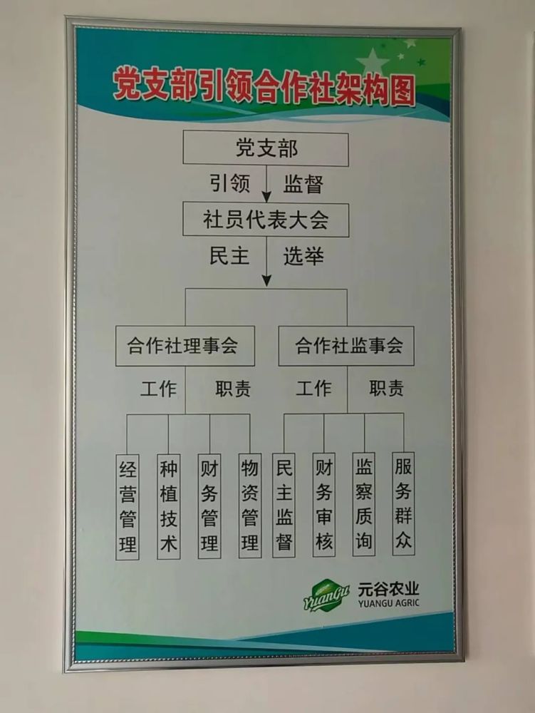 党支部领办合作社激发乡村振兴活力