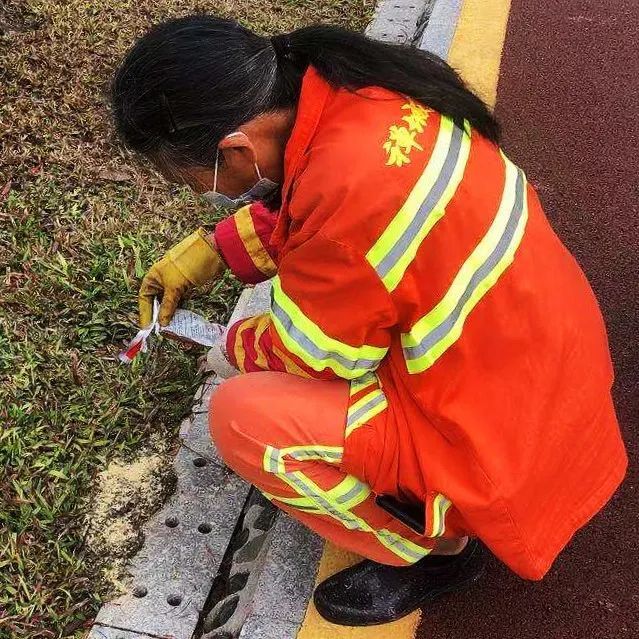 戶外看見這些土堆千萬別碰