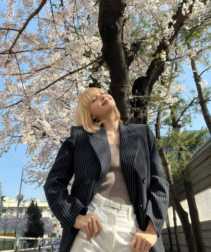 lisa晒樱花下的春日照直角肩好绝自信洒脱的lisa魅力四射