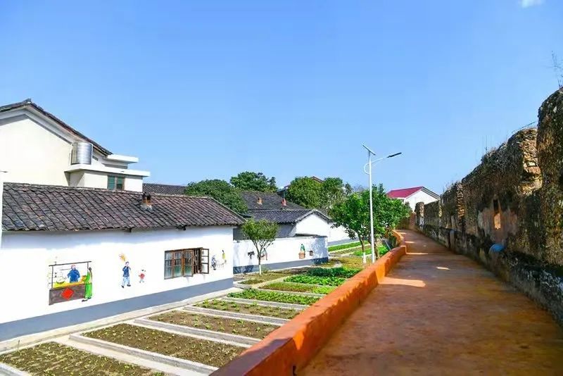 古港镇,浏阳古港镇:村美业兴,幸福生活入画来-出走网