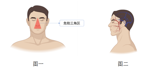 危险三角区的粉刺别乱挤