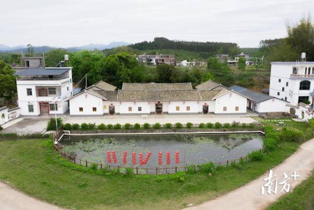 河源东源顺天镇:农旅融合绘就美丽乡村新画卷