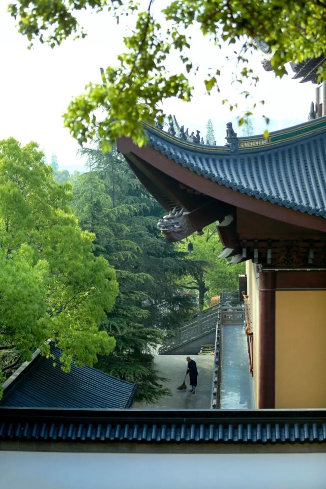 疫情下的法華寺|山門雖掩,修持不輟