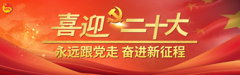 少数名族人口_民族团结籽籽同心