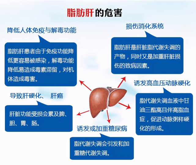 生活方式干预让脂肪肝逆转成为可能